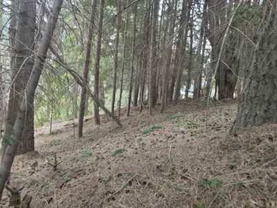 L136 unico lote de 4858 mts2 en península de manzano.
